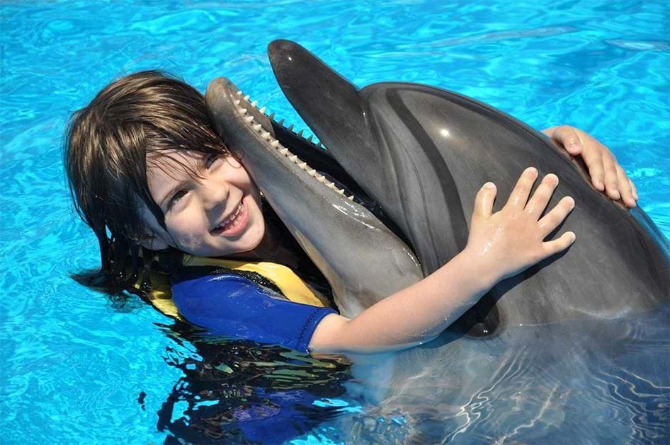 Nage avec les dauphins
